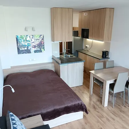 Апартаменты Royal Palm Studio, Свети-Влас