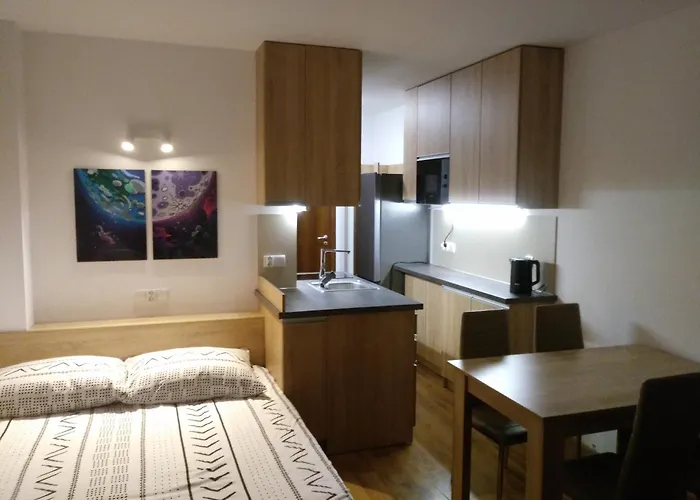 Royal Palm Studio, Appartement *