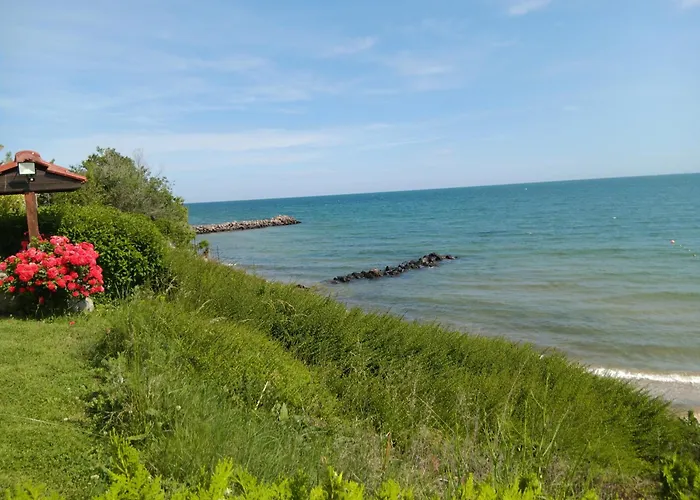 Apartment Royal Palm Studio, *